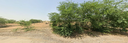 WhatsApp Image‏ 2026-03-17 at 02.43.25 (2).webp