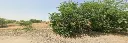 WhatsApp Image 2026-06-27 at 5.24.12 PM (1).webp