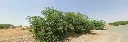 WhatsApp Image 2026-06-27 at 5.24.12 PM.webp