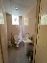 hfg.webp
